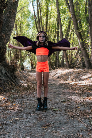 Pumpkin Pop Willow