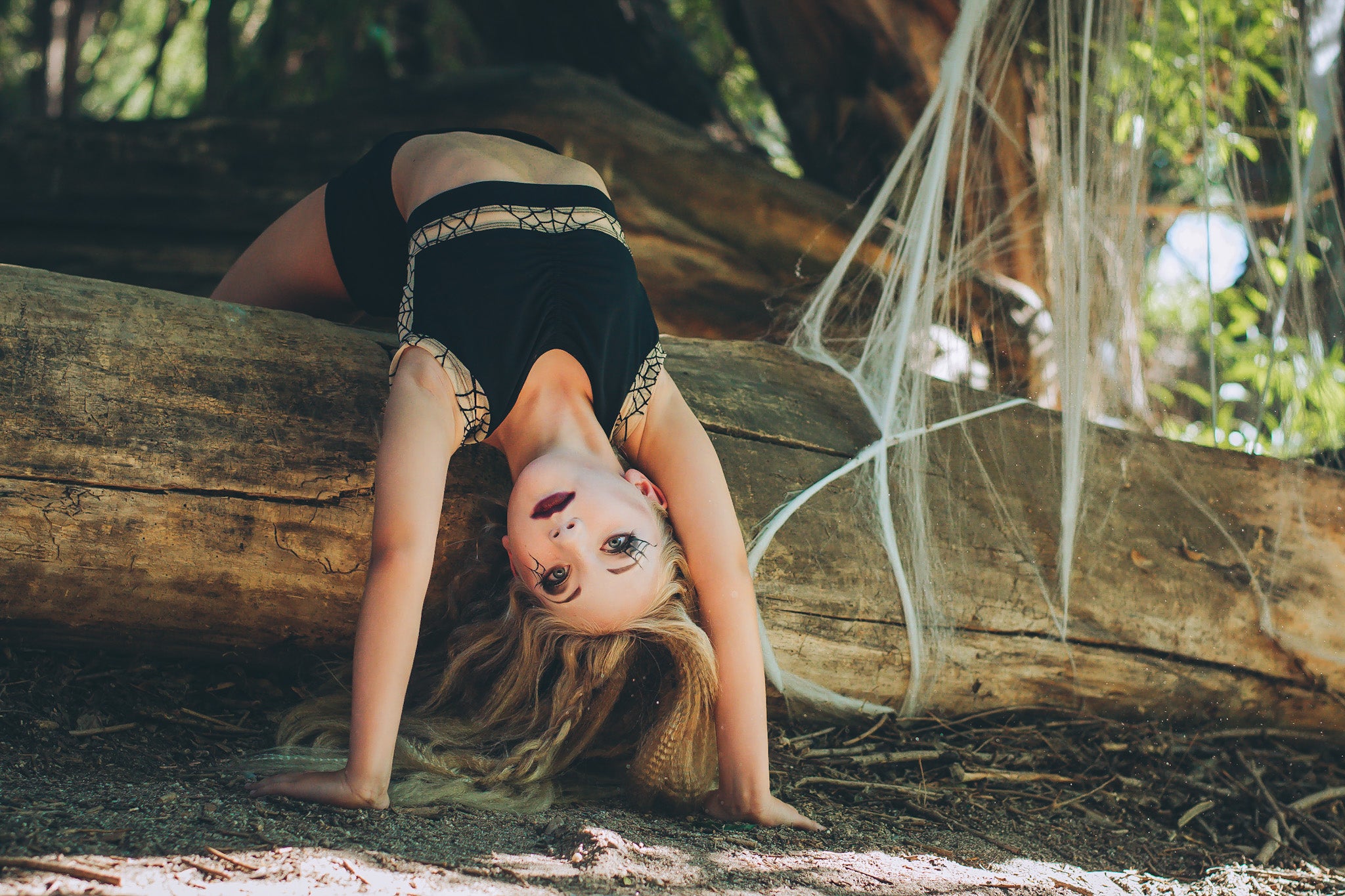 Spider web rae